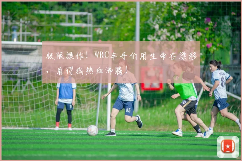 极限操作！WRC车手们用生命在漂移，看得我热血沸腾！